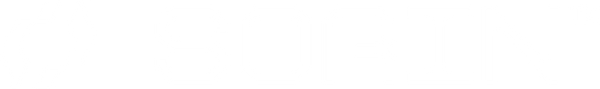 SORIN, LLC